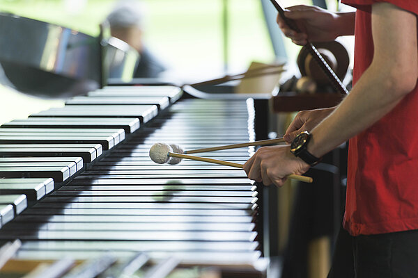 Sommerfest des Badischen Konservatoriums